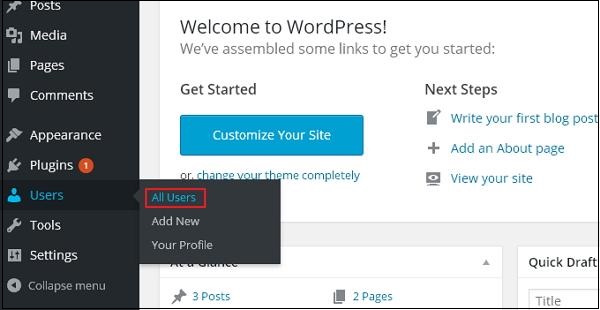 WordPress Edit Users