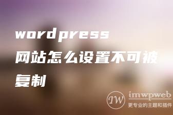 wordpress网站怎么设置不可被复制