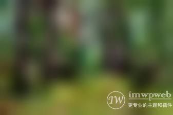 WordPress 删除分类 WordPress 删除分类