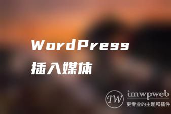 WordPress 插入媒体