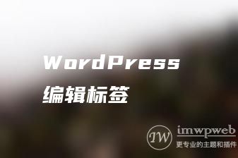 WordPress 编辑标签