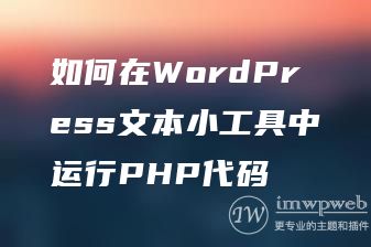 如何在WordPress文本小工具中运行PHP代码