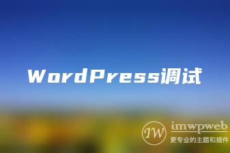 WordPress调试 WordPress调试