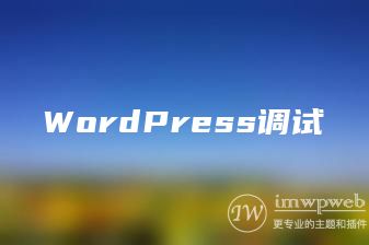 WordPress调试