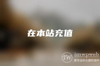 在本站充值