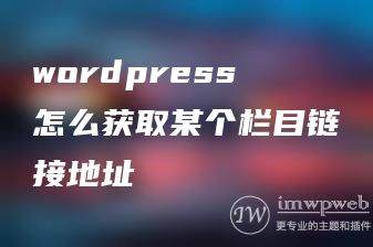 wordpress怎么获取某个栏目链接地址